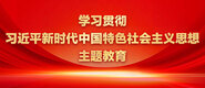 操爆粉嫩的逼学习贯彻习近平新时代中国特色社会主义思想主题教育_fororder_ad-371X160(2)